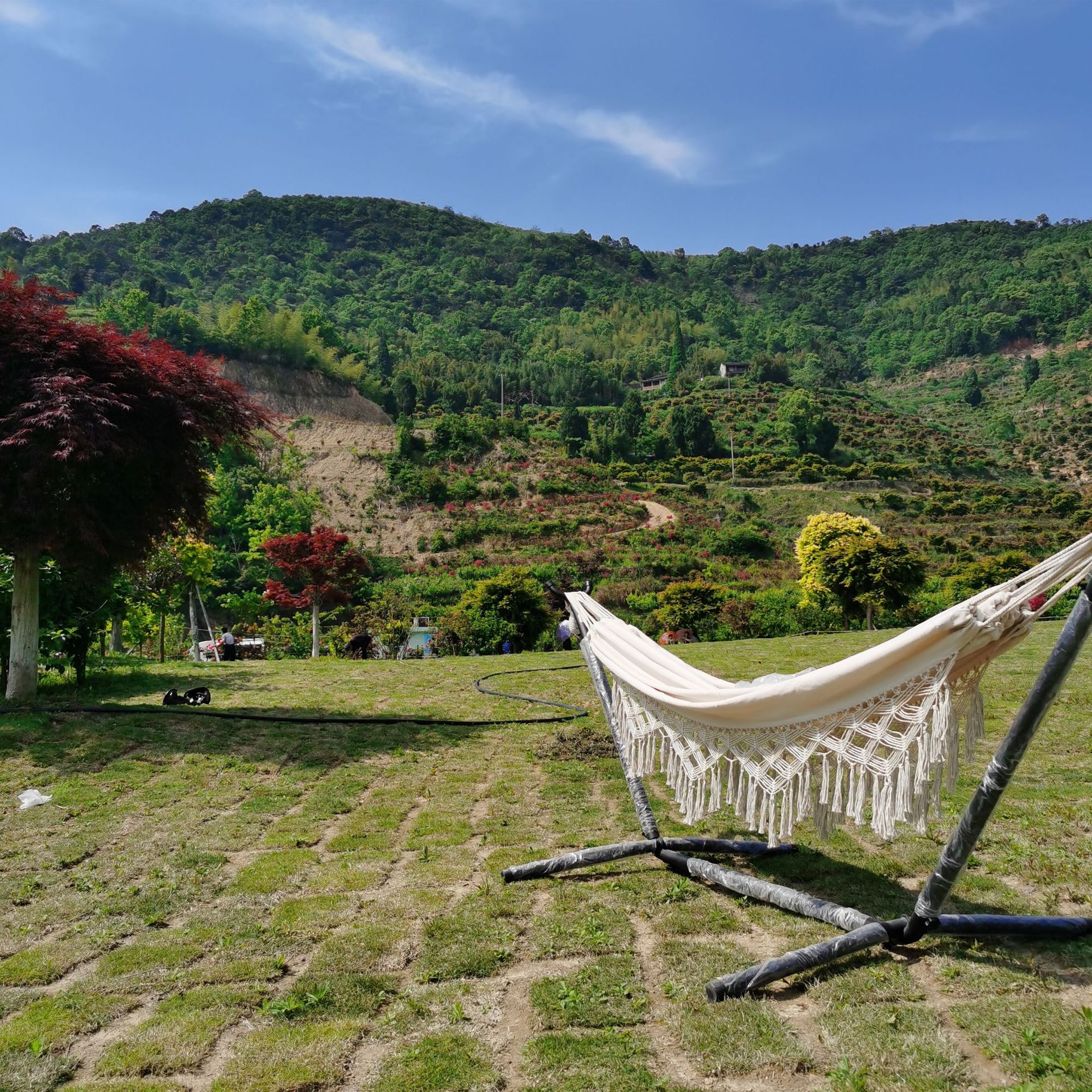 IMG_20220504_141257(1)