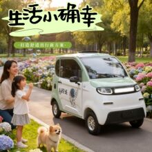 四轮电动车家用女士2026小型新能源油电空调成年人代步车锂电瓶车