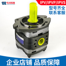 �����س��ֱ�IPV/P3/4/5/6/7-8/13/32/40�����ϵ¹�voithҺѹ�ͱ�