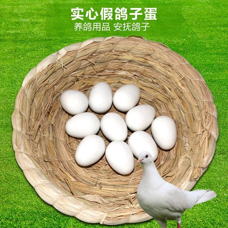 鸽子塑料实心假蛋 蛋信鸽用品 假鸽子蛋 鸽用假蛋 注水鸽子假蛋