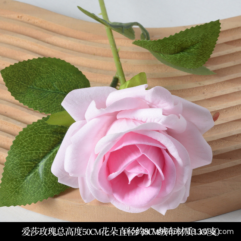 Núcleo de polvo de rosa Aisha