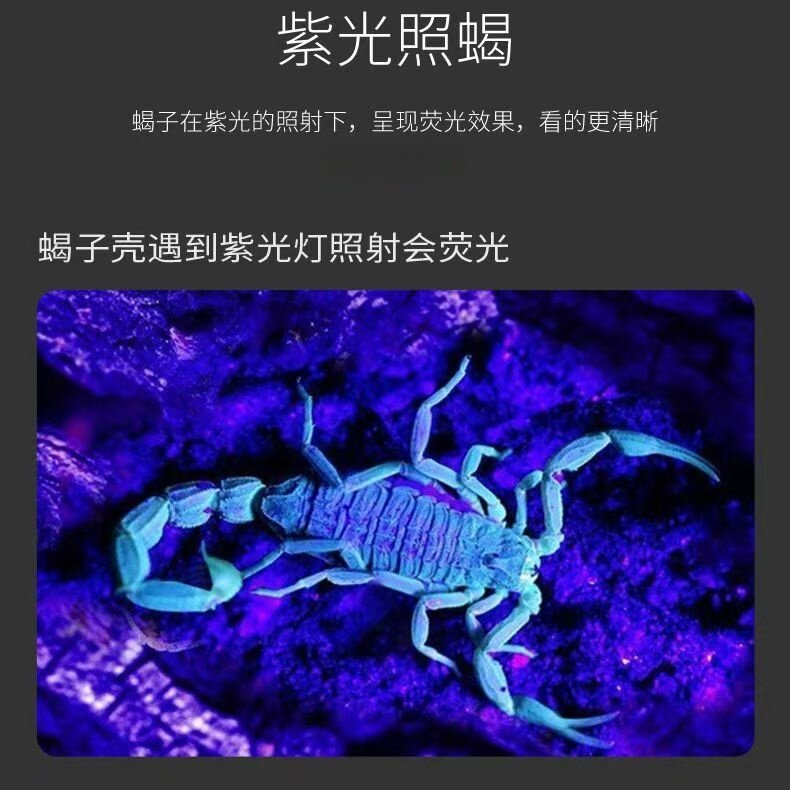 Money Detector Lamp, Ultraviolet Light for Fluorescent Currency Identification, Anti-Counterfeiting Lamp, White Light, Purple Light Flashlight, Cross-Border Best-Selling Model