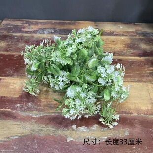 ��������С�����\�����m�~ֲ����Բ廨�b�С�~�Ӱ����Gֲ