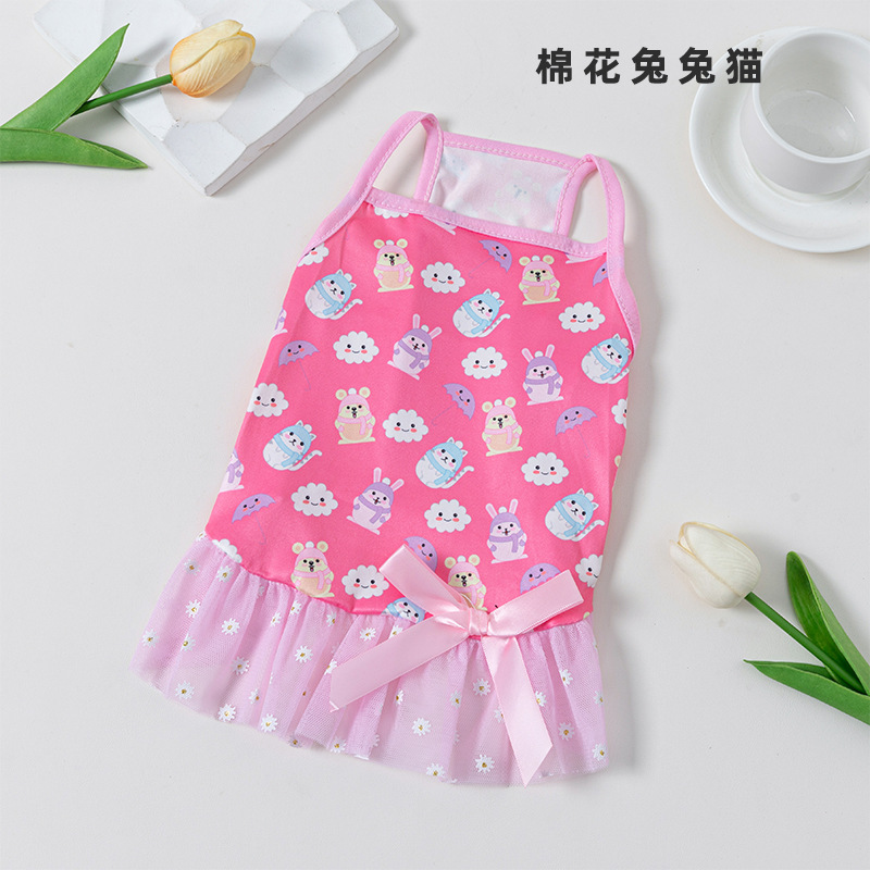 면 토끼 토끼 고양이