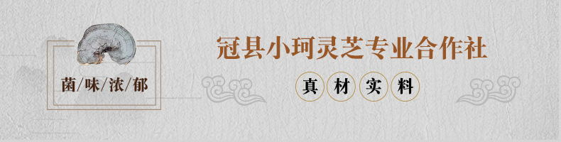 灵芝】_01.jpg