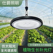 UFOȫ���Vֲ�����L����̫ꖹⲨ�����҃ȾGֲ�����߹��a���