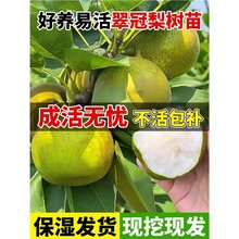 ��������������޽�ͥԺ�����ϱ��Nֲ�ش��ͺ����糬����Y��