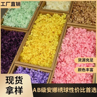 Magic Flower Eternal Flower AB Anna Hydrangea 100g Birthday Real Flower diy Material Dried Flower Decoration Girlfriend Gift