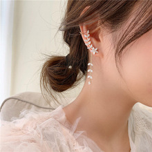 新款韩国流苏树叶感锆石耳钉女气质长款耳环女显脸瘦的耳线