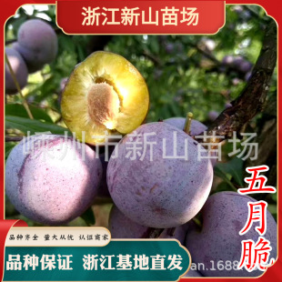 ��ˮ�����J�C�̼ҡ��㽭���l ���´������ һ�c�t�P���������