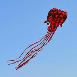 潍坊风筝厂家直供批发4米5米花斑无骨软体3d立体八爪章鱼风筝