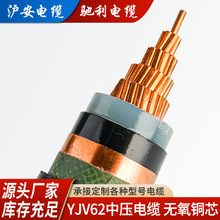 YJV1*300е͉|zbɇ~оϩ^10KV