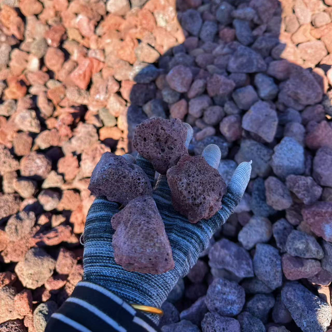 9파운드 3- 7cm 적갈색 [저렴한 처리]