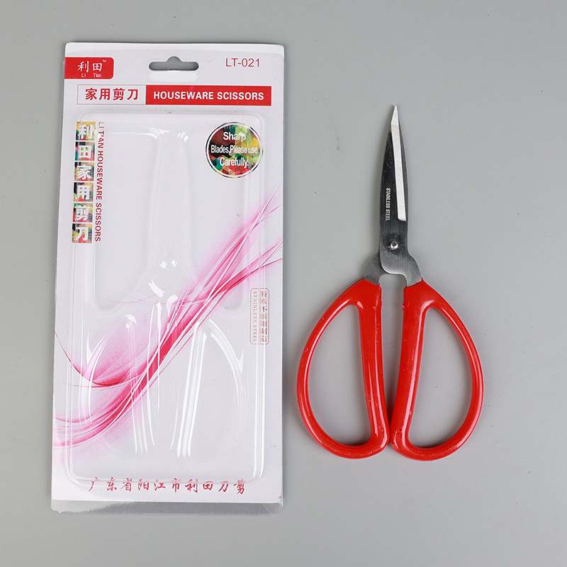 8 인치 (대)