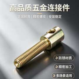 专业生产销售非标螺栓，圆柱头，带内螺纹，横孔全螺纹
