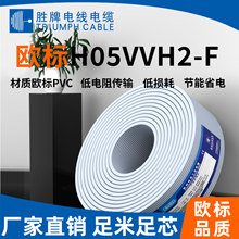 厂家直销欧标H03VVH2-F/HO5VVH2-F(扁线)音频信号电源线电子线
