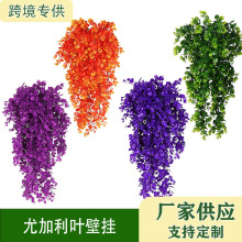 �羳�����ٗl �A�~�ȼ����ڒ� ����Gֲ�Ҿӑ����b��ّҒ�����