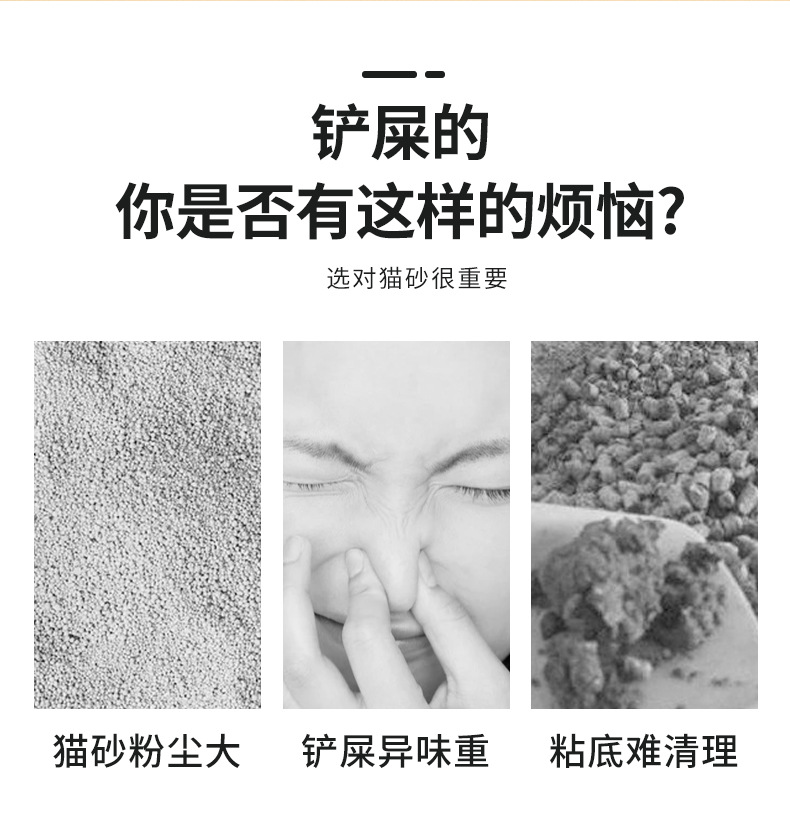 1_02.jpg