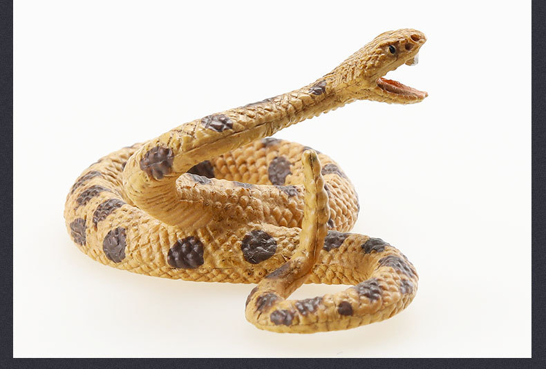 蛇系列-详情图_38.jpg