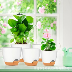 電商人気のレイジー吸水ポット既製品セット、厚みのあるPP植木鉢、トレイ付き、個別包装、ラベル付き、ドロップシッピング