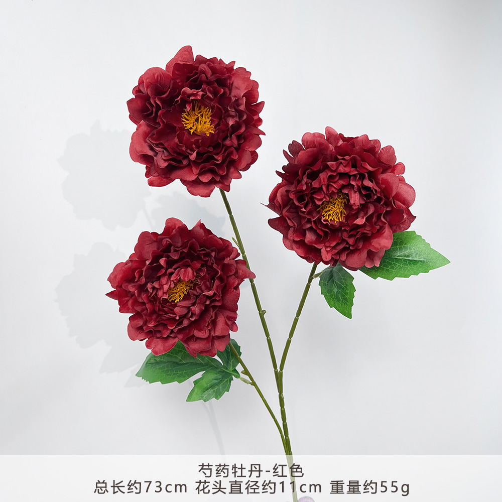 Yn-peony peony-red