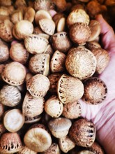 风流果中药材批发广西阴阳子双肾子男士养生泡酒料代发散装风流果