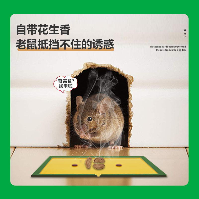 GL1011主图(1)画板 4.jpg