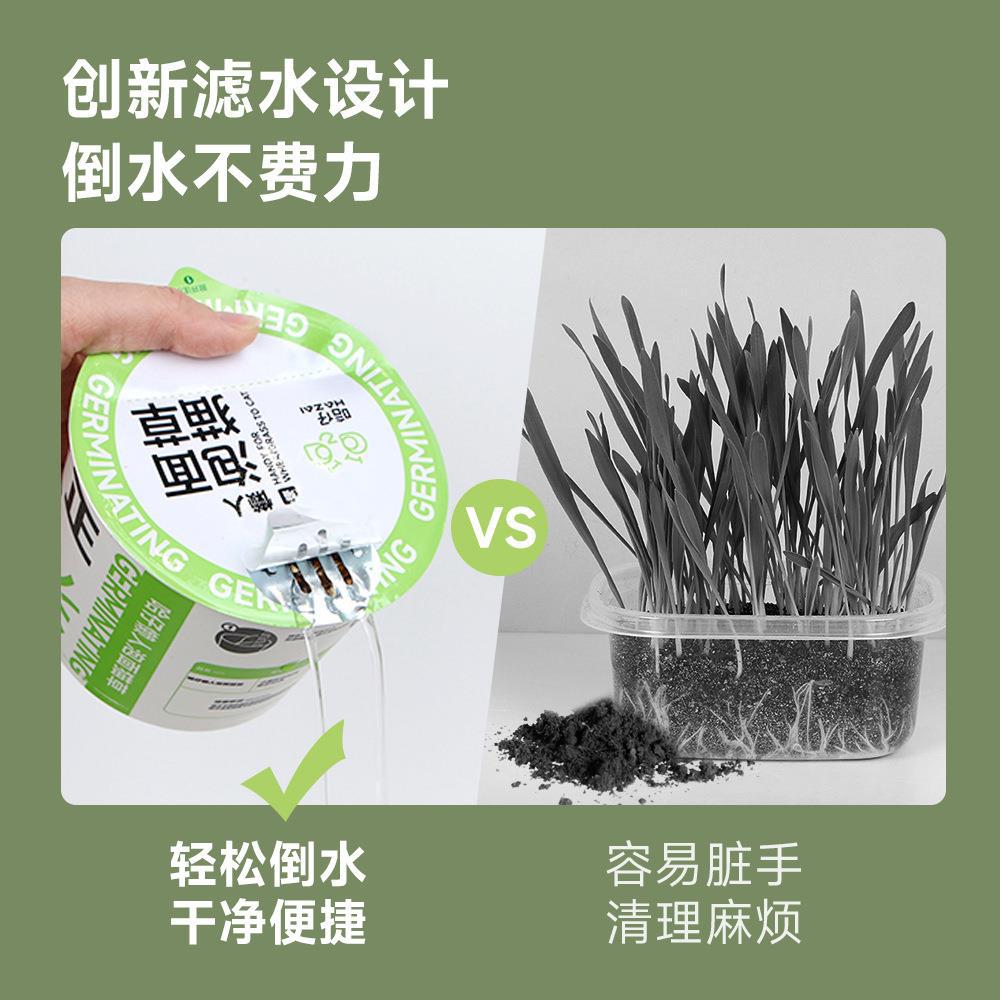 Fideos instantáneos perezosos, hierba para gatos, gato escupiendo bolas de pelo, semillas de trigo en macetas, cultivo de suelo, pelaje, bolas de pelo, bocadillos para gatos enlatados