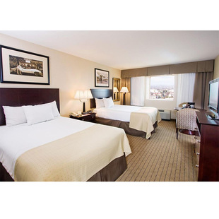 Star Brand Hotel Business Convenient Hotel Room Bathroom Suite Complete Furniture Restaurant Lobby