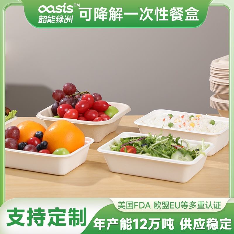 Fábrica verde al por mayor 500/650/800/1000ml compostable degradable Pulpa de caña de azúcar Pulpa de bambú envases desechables