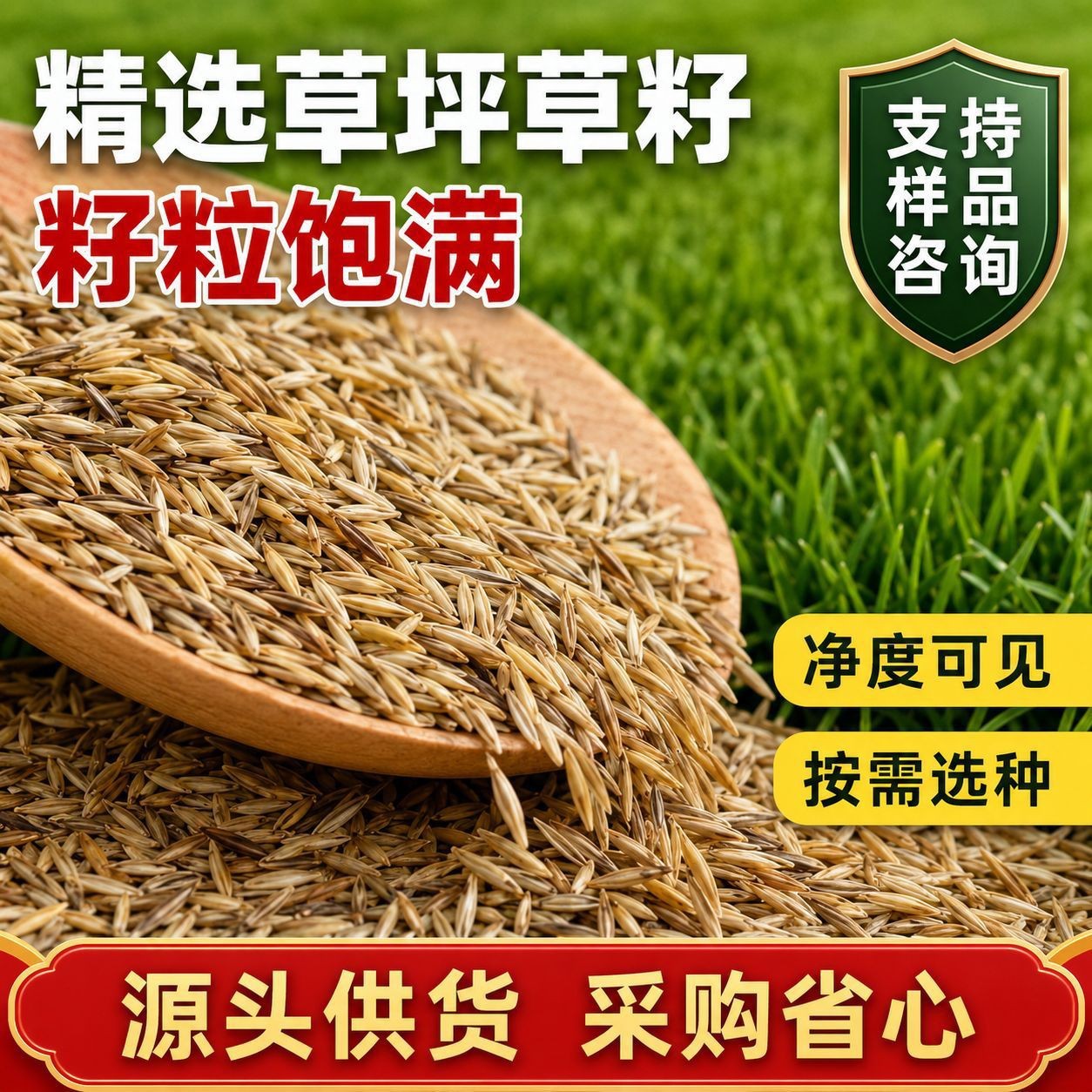 四季青草坪种子免修剪草坪草籽护坡固土混播四季常青耐寒旱草种子