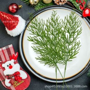 �羳�����ɘ�֦�پGɫֲ�����~�}�Q��DIY���h�ٗl��ˇƷ�b�