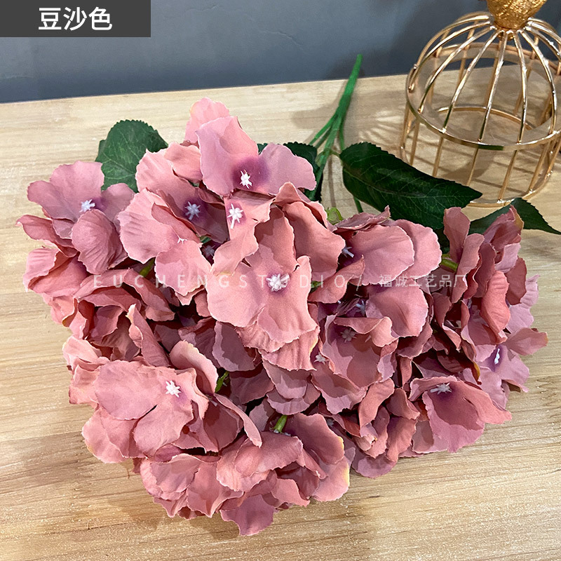 Bean paste color (5 bunches of each color starting and less shooting)