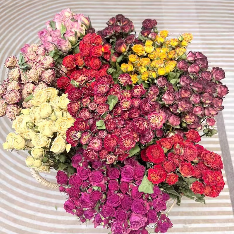 fd39fb91-7a13-41b5-a7f5-b2553c7e5ae3.jpe