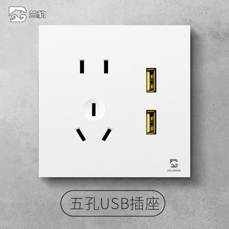 Five-hole double USB socket