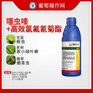 �����_������22%���x� ��Ч����������x�����x�G�~�s�rș���x��
