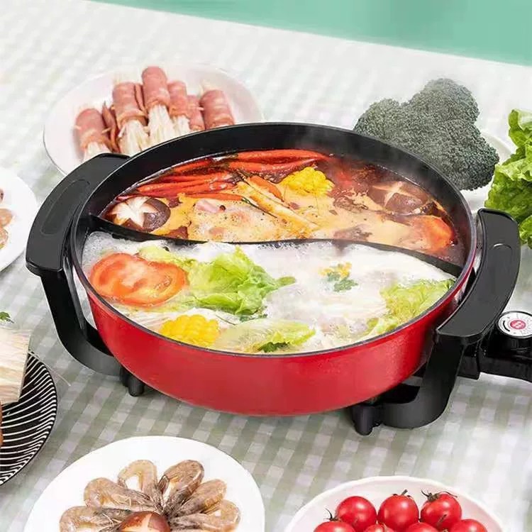Household Dual-Flavor Electric Hot Pot, Multifunctional All-In-One Electric Pot, Dual-Flavor, Adjustable Temperature, Suitable for 3-4 People