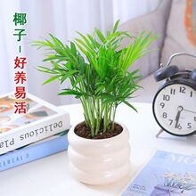 ��������Ҭ�ӎ���ƿ �k���ҾӼ�����Gֲ ��ꎺ��B �������C
