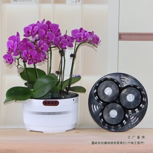 2.8��3.0���m����3-4�ú����mƴ�M����ظ������͸��W��������