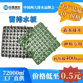 排水板;工地施工材料;网格板