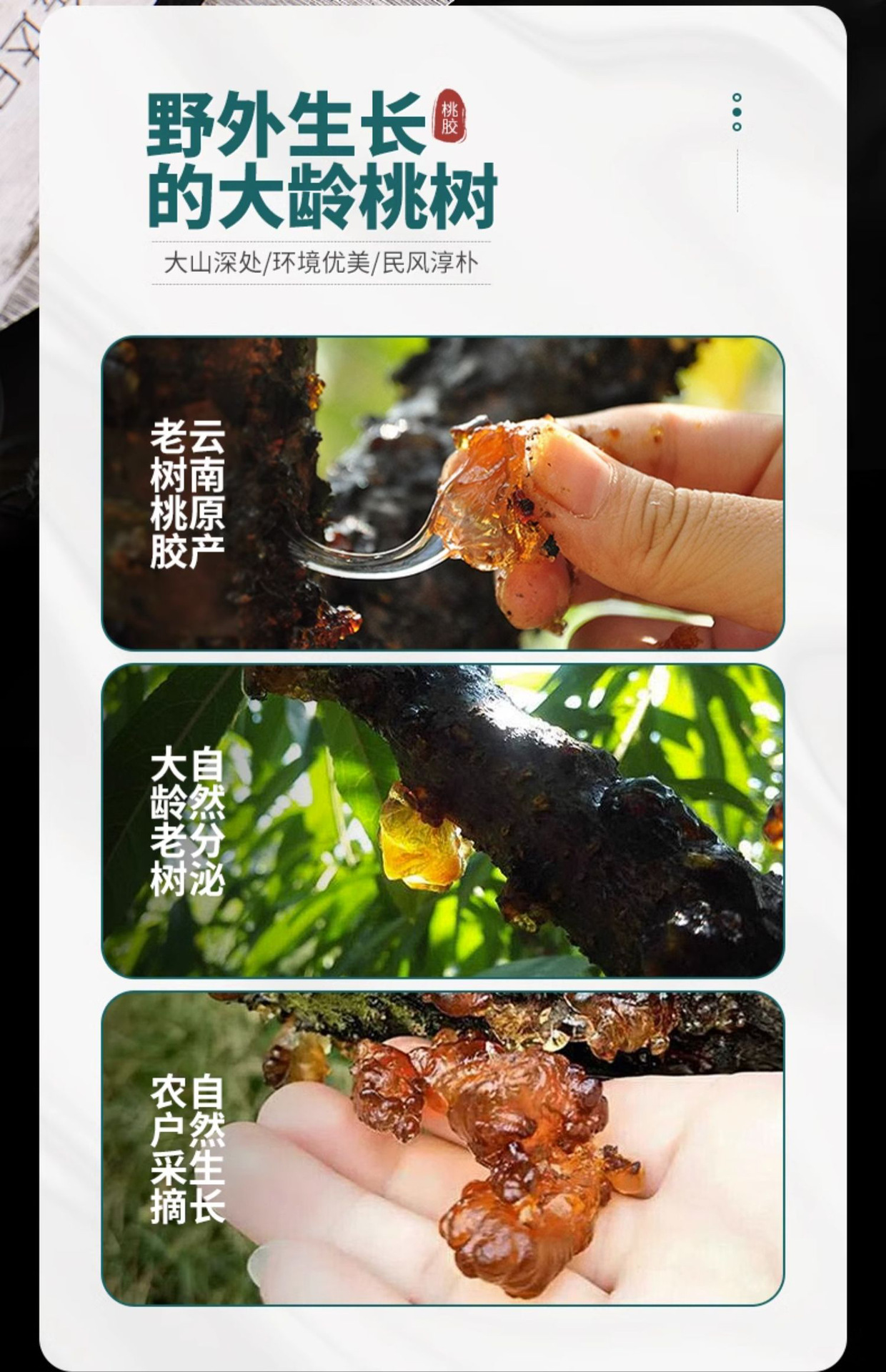 Peach Gum Dried Resin 100g Natural Wild Harvested Tao Jiao for Soup and Dessert quality and texture