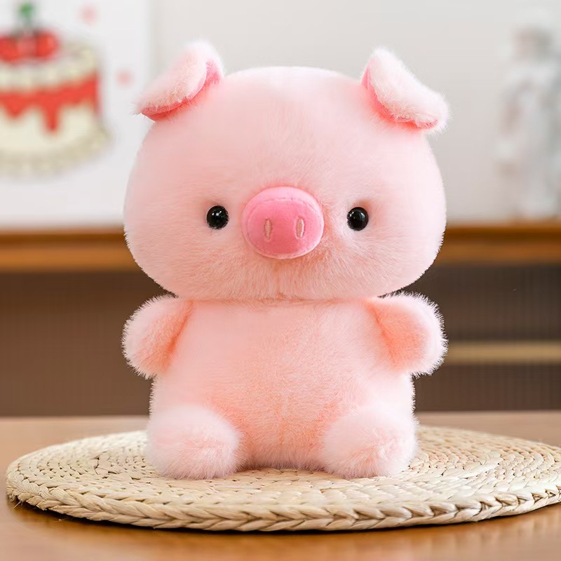 Cute pig