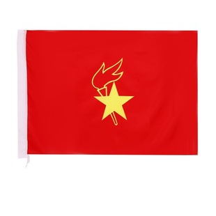少先队旗大队旗中队旗手摇小队旗红领巾中队旗少年先锋队-阿里巴巴