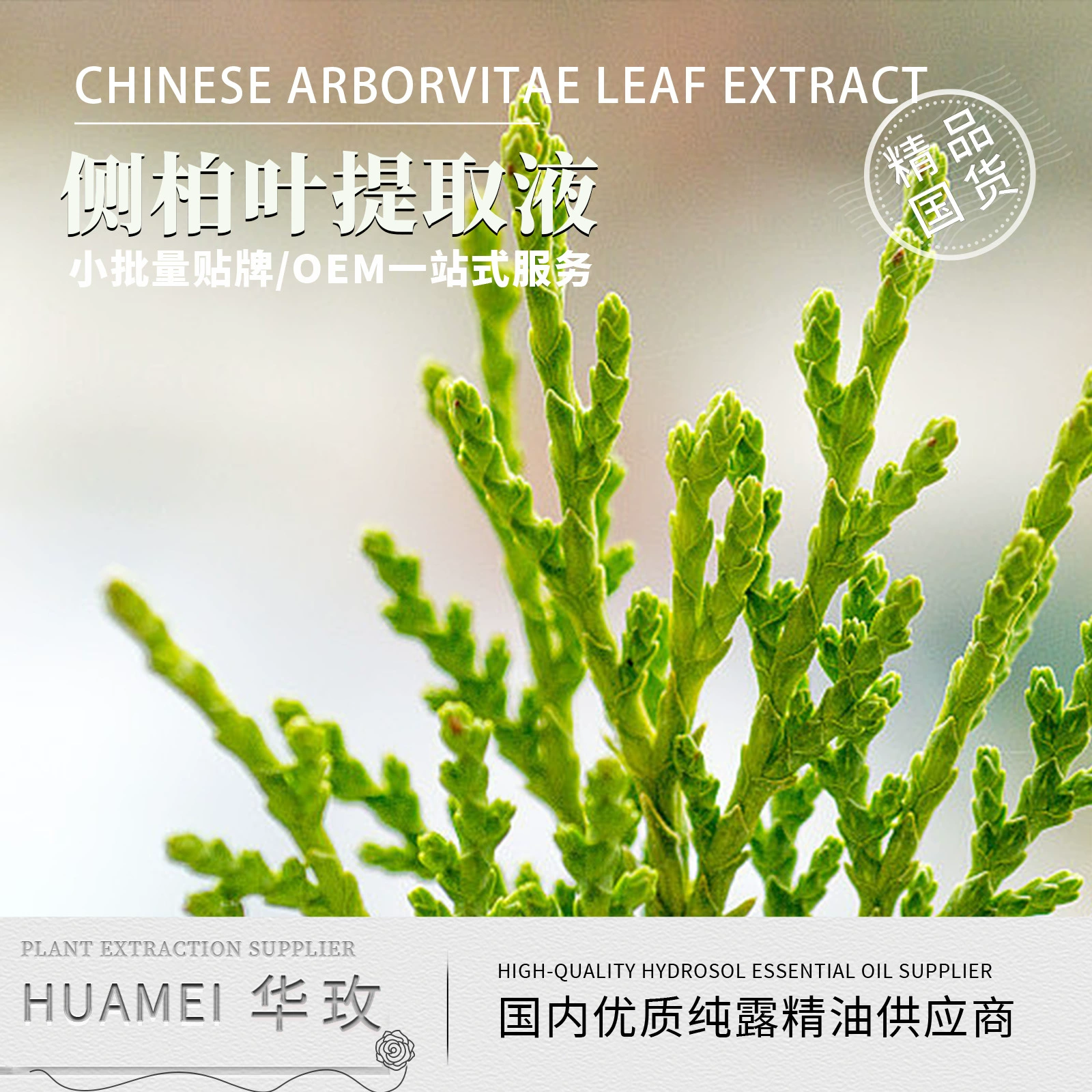 В наличии Platycladus Leaf уход за кожей косметика сырье Экстракт листьев Platycladus чистый производитель эфирного масла росы Оптовая проверка качества