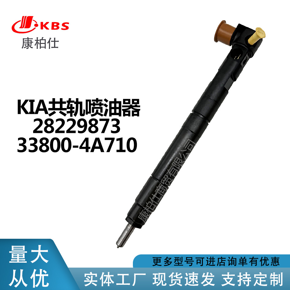 Delphi Common Rail Injector Assembly 28227398 33800 - 4A710 / Accesorios de motor de automóvil aplicables