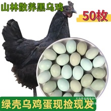 �r��ɢ�G�����u�����r�����ӵ��r�u������