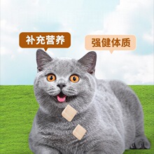 ����؈��ʳ�u�����u�����g�����S�~���a��I�B����ʳƷ؈�Z؈���