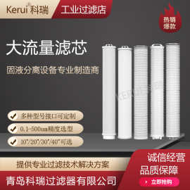 大流量滤芯一级二级反渗透折叠滤芯5微米外压式保安大通量滤芯