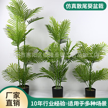 �羳����Gֲɢβ�������҃ȿ͏d�ҾӔ[�O�b��F���~�٘��辰���l