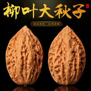 �L��ɽԭɫ���~����(�)���������50mm�ֱP�Ѽ�Ұ�����\�u�Ė|��